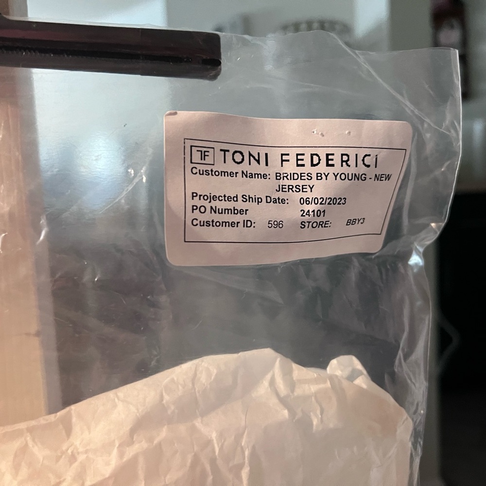 *Brand New* Toni Federici Veil